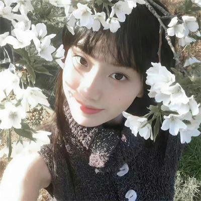 姐妹情仇 1972